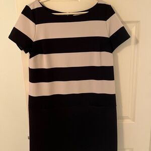 Ann Taylor Loft Dress